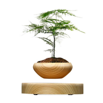 Magnetic Levitating Plant Pot